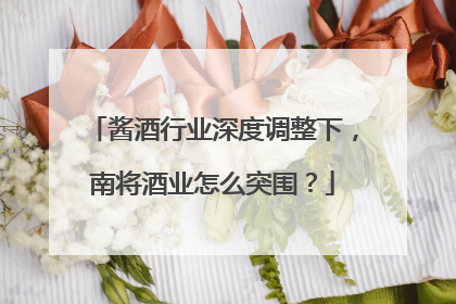 酱酒行业深度调整下，南将酒业怎么突围？
