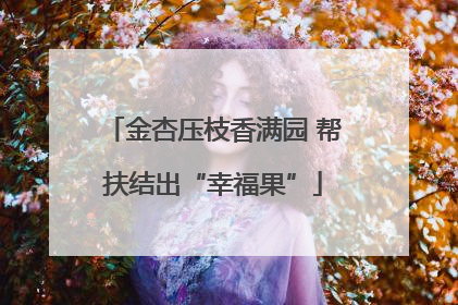 金杏压枝香满园 帮扶结出“幸福果”