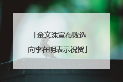 金文洙宣布败选 向李在明表示祝贺