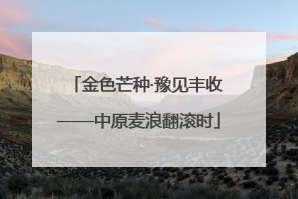 金色芒种·豫见丰收——中原麦浪翻滚时
