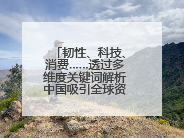 韧性、科技、消费……透过多维度关键词解析中国吸引全球资本“新磁场”