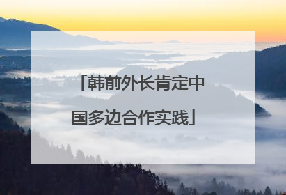 韩前外长肯定中国多边合作实践