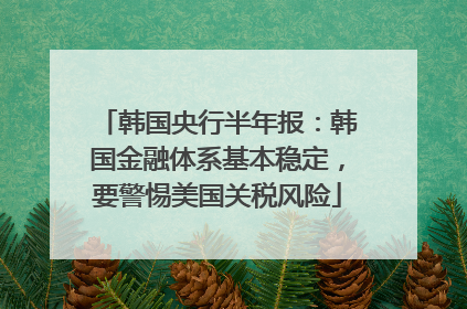 韩国央行半年报：韩国金融体系基本稳定，要警惕美国关税风险