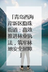 青岛西海岸新区隐珠街道：高效推进林业执法，筑牢林地安全屏障