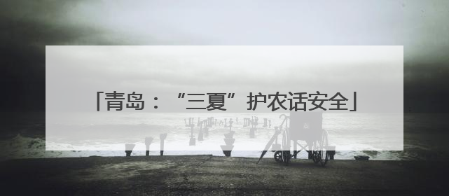 青岛：“三夏”护农话安全