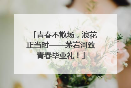 青春不散场，浪花正当时——茅岩河致青春毕业礼！