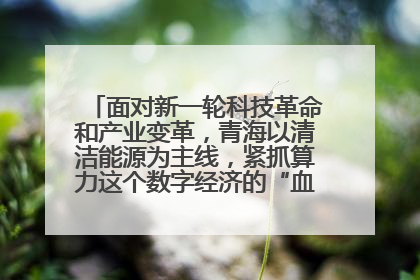 面对新一轮科技革命和产业变革，青海以清洁能源为主线，紧抓算力这个数字经济的“血液”、科技主权的“筹码”、产业升级的“杠杆”、绿色转型的“支点”，勇于撬动国家“双碳”战略、“东数西算”工程重大发展新机遇