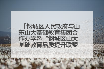 钢城区人民政府与山东山大基础教育集团合作办学暨“钢城区山大基础教育品质提升联盟”签约揭牌活动举行