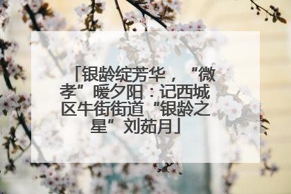 银龄绽芳华，“微孝”暖夕阳：记西城区牛街街道“银龄之星”刘茹月