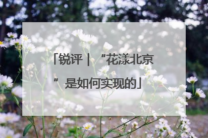 锐评｜“花漾北京”是如何实现的