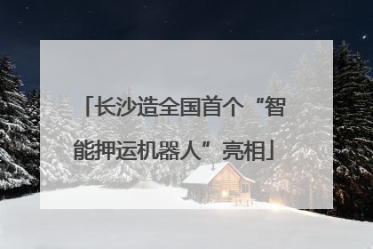 长沙造全国首个“智能押运机器人”亮相