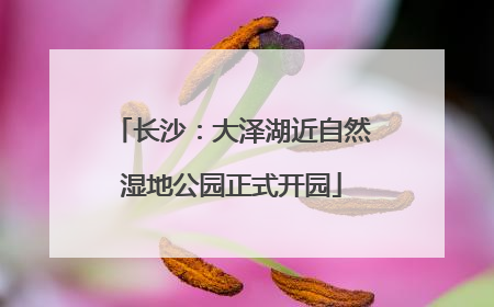 长沙：大泽湖近自然湿地公园正式开园