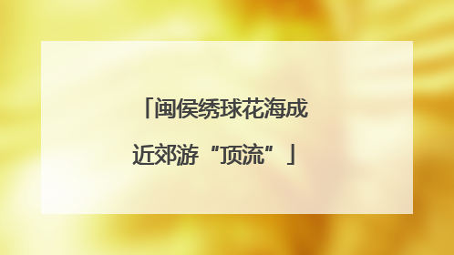 闽侯绣球花海成近郊游“顶流”