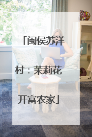 闽侯苏洋村：茉莉花开富农家