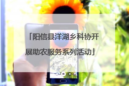 阳信县洋湖乡科协开展助农服务系列活动
