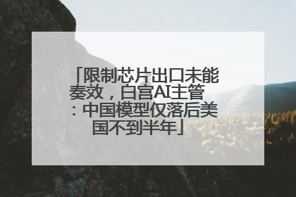 限制芯片出口未能奏效，白宫AI主管：中国模型仅落后美国不到半年