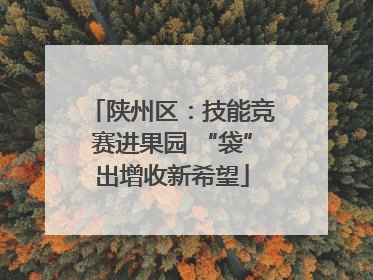 陕州区：技能竞赛进果园 “袋”出增收新希望