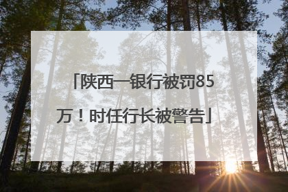 陕西一银行被罚85万！时任行长被警告