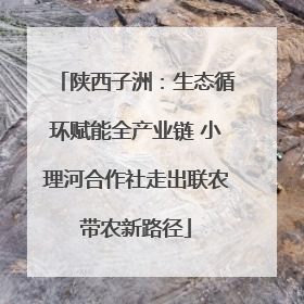 陕西子洲：生态循环赋能全产业链 小理河合作社走出联农带农新路径