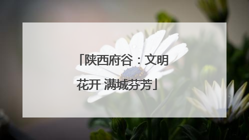 陕西府谷：文明花开 满城芬芳