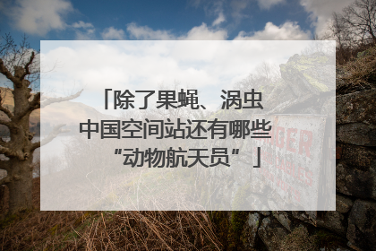 除了果蝇、涡虫 中国空间站还有哪些“动物航天员”