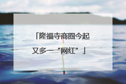 隆福寺商圈今起又多一“网红”