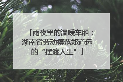雨夜里的温暖车厢：湖南省劳动模范郑道远的“摆渡人生”