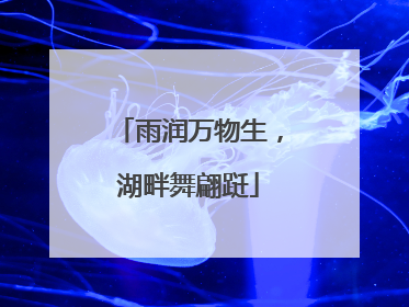 雨润万物生，湖畔舞翩跹