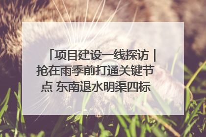 项目建设一线探访｜抢在雨季前打通关键节点 东南退水明渠四标段项目顺利完工