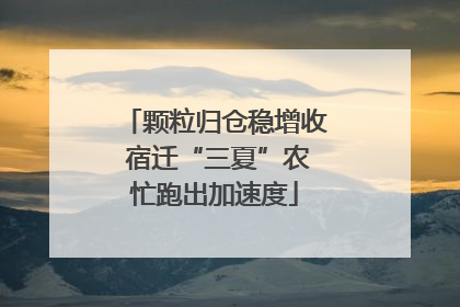 颗粒归仓稳增收 宿迁“三夏”农忙跑出加速度