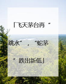 飞天茅台再“跳水”，“蛇茅”跌出新低