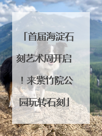 首届海淀石刻艺术周开启！来紫竹院公园玩转石刻