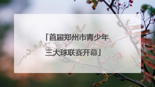 首届郑州市青少年三大球联赛开幕