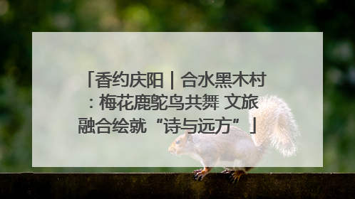 香约庆阳｜合水黑木村：梅花鹿鸵鸟共舞 文旅融合绘就“诗与远方”