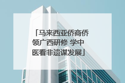 马来西亚侨商侨领广西研修 学中医看非遗谋发展