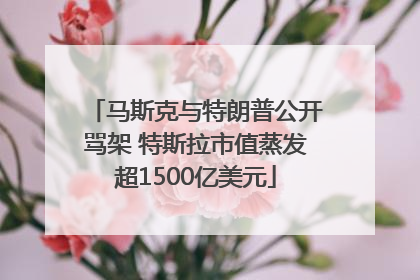 马斯克与特朗普公开骂架 特斯拉市值蒸发超1500亿美元