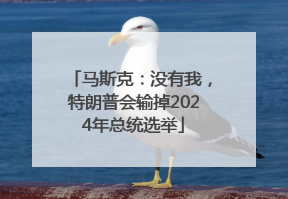 马斯克：没有我，特朗普会输掉2024年总统选举