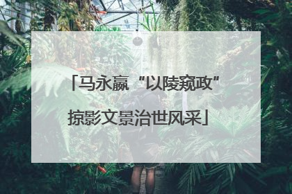 马永嬴“以陵窥政” 掠影文景治世风采