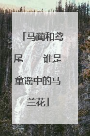 马蔺和鸢尾——谁是童谣中的马兰花