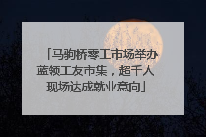 马驹桥零工市场举办蓝领工友市集，超千人现场达成就业意向