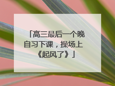 高三最后一个晚自习下课，操场上《起风了》