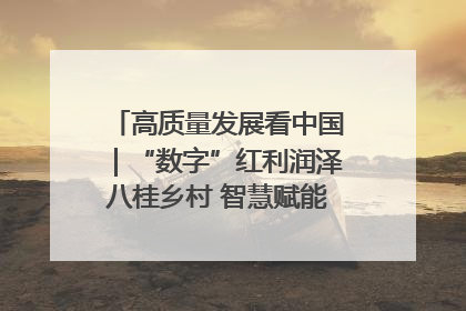 高质量发展看中国｜“数字”红利润泽八桂乡村 智慧赋能绘就振兴画卷