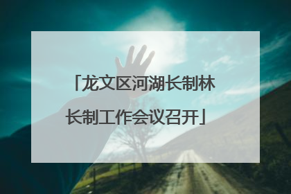 龙文区河湖长制林长制工作会议召开