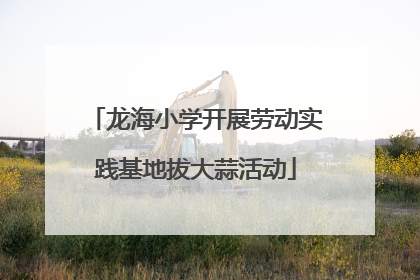 龙海小学开展劳动实践基地拔大蒜活动