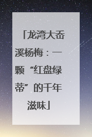 龙湾大岙溪杨梅：一颗“红盘绿蒂”的千年滋味