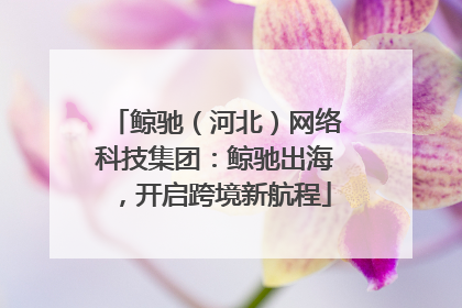 鲸驰（河北）网络科技集团：鲸驰出海，开启跨境新航程