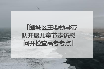 鲤城区主要领导带队开展儿童节走访慰问并检查高考考点