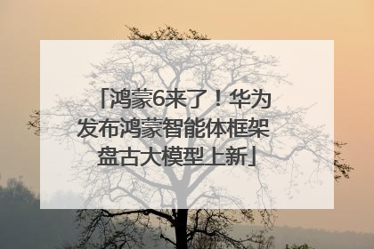 鸿蒙6来了！华为发布鸿蒙智能体框架 盘古大模型上新