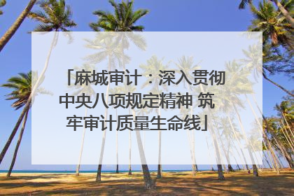 麻城审计：深入贯彻中央八项规定精神 筑牢审计质量生命线