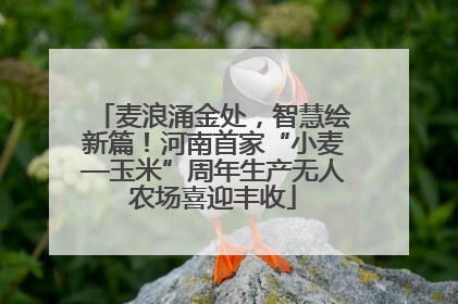 麦浪涌金处，智慧绘新篇！河南首家“小麦—玉米”周年生产无人农场喜迎丰收